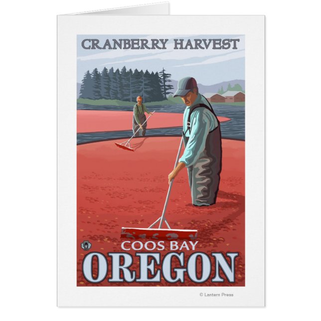 Récolte de canneberges - Coos Bay, Oregon (Devant)