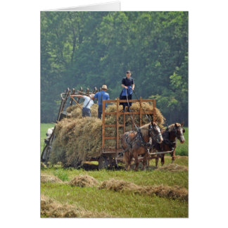 Récolte de foin d'Amish