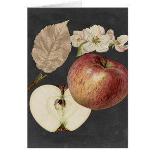 Récolte de minuit II