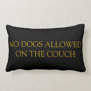 Rectangle Aucuns chiens permis sur le coussin de divan