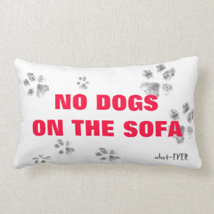 Rectangle Aucuns chiens sur le coussin de sofa