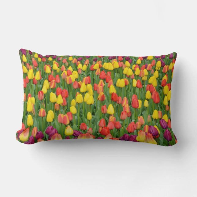 Rectangle Beau coussin de jardin de tulipe de printemps (Recto)