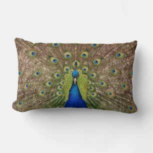 Rectangle Beau paon et plumes imprimer coussin