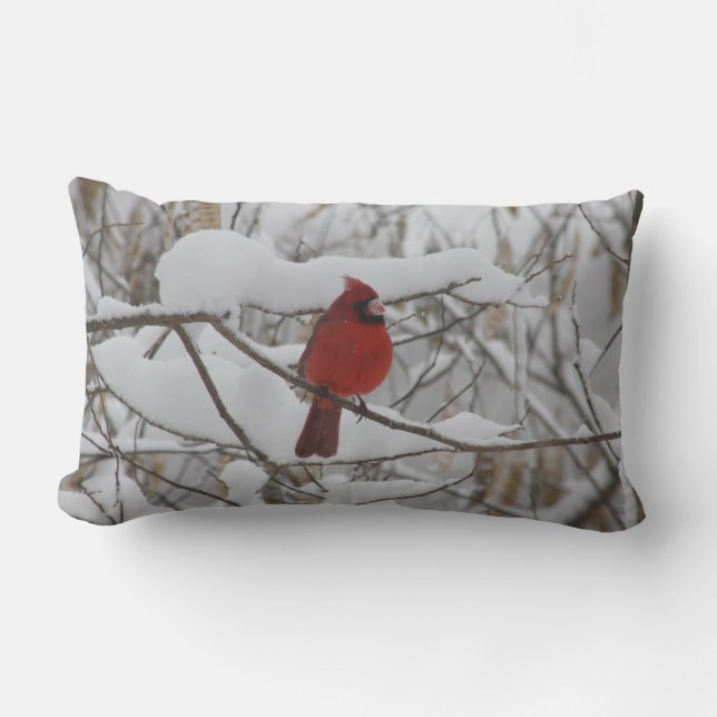 Rectangle Cardinal dans le coussin de neige d'hiver (Recto)