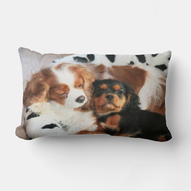 Rectangle Chien Et Chiot Cavalier Roi Charles Coussin Spanie (Recto)
