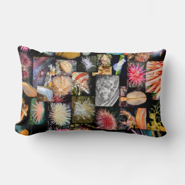 Rectangle Colombie-Britannique Coussin de collection des esp (Recto)