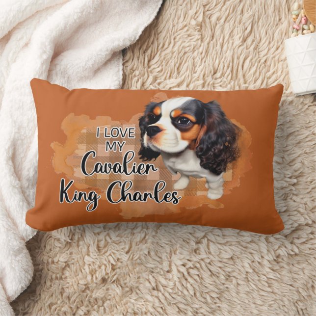 Rectangle Coussin (Couverture)