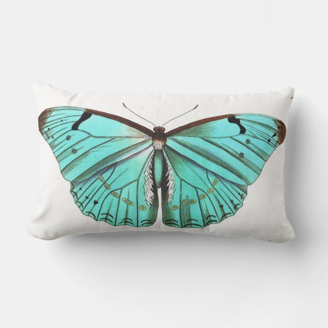 Rectangle Coussin assez élégant de papillon de turquoise (Recto)