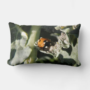 Rectangle Coussin coccinelle britannique à 7 points