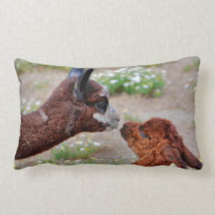 Rectangle Coussin d'alpaga