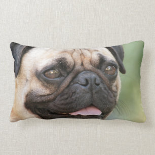 Rectangle Coussin de carlin