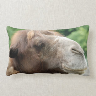 Rectangle Coussin de chameau Arabe