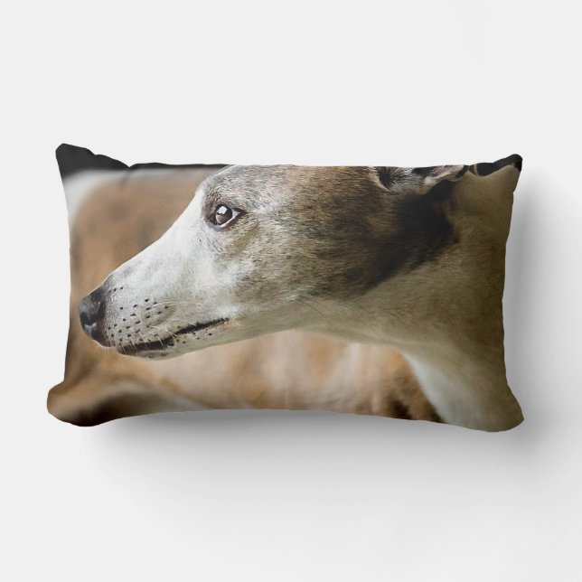 Rectangle Coussin de chien de lévrier (Recto)