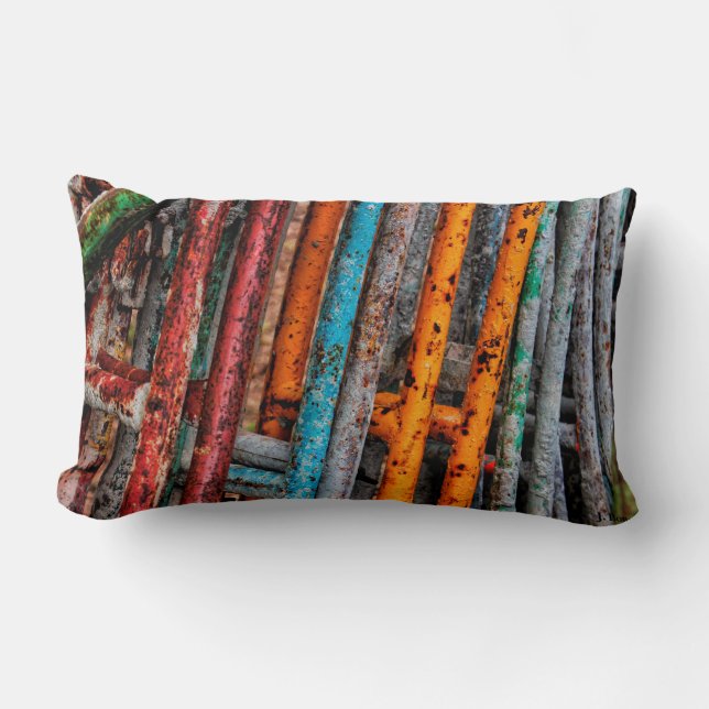 Rectangle Coussin de chimères de couleur (Recto)
