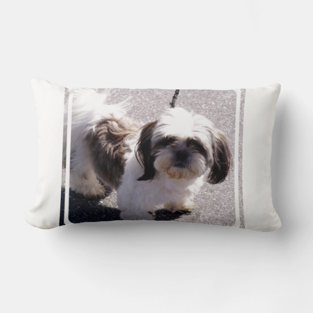 Rectangle Coussin de chiot de Tsu de Shih (Recto)