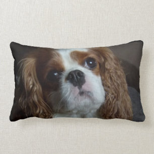 Rectangle coussin de coussin Cavalier King Charles Spaniel