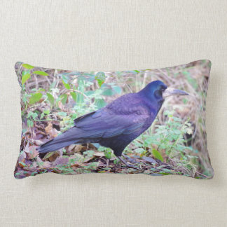 Rectangle Coussin de freux