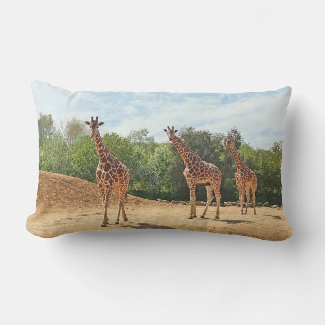 Rectangle Coussin de girafes (Recto)