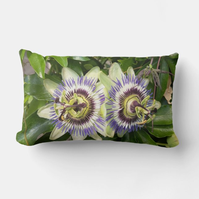 Rectangle Coussin de jet Passion Fleur Violet (Recto)