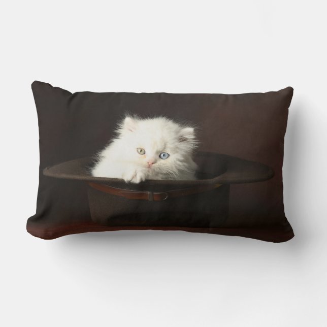 Rectangle Coussin de MoJo d'Américain de chaton (Recto)