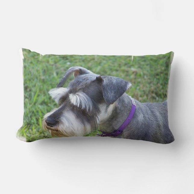 Rectangle Coussin de Schnauzer (Recto)