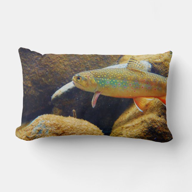 Rectangle Coussin de truite de Brook (Recto)