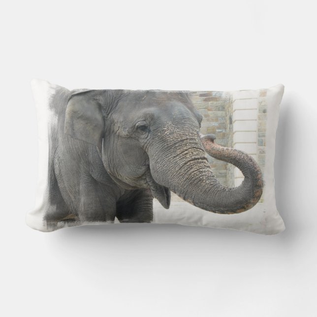 Rectangle Coussin d'éléphant de son de la trompette (Recto)
