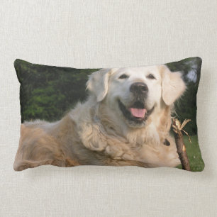 Rectangle Coussin doux de golden retriever