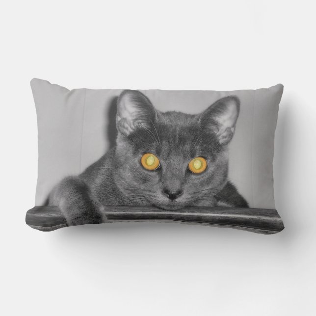 Rectangle Coussin Dusky Gold (Recto)
