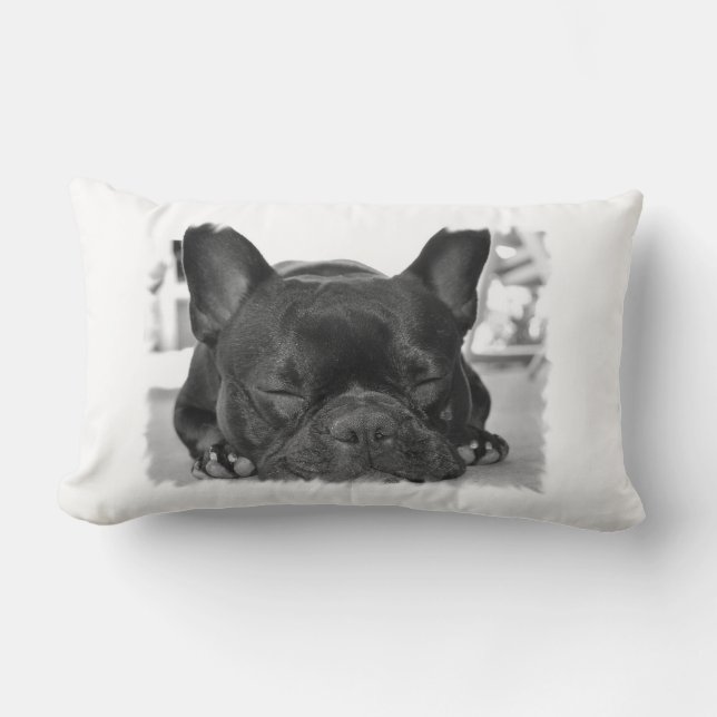 Rectangle Coussin français de Bulldog (Recto)