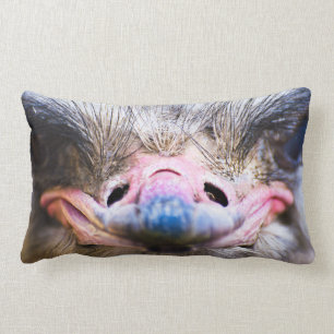 Rectangle Coussin haut d'autruche de fin drôle de visage
