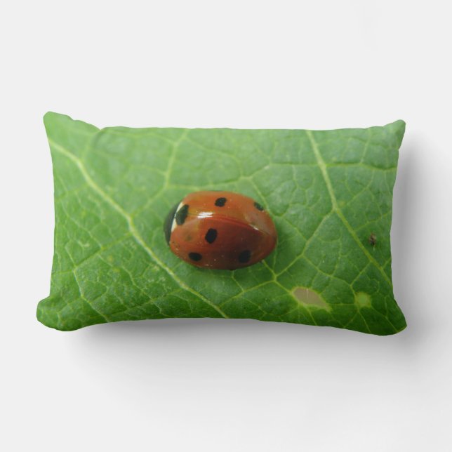 Rectangle Coussin Ladybug (Recto)