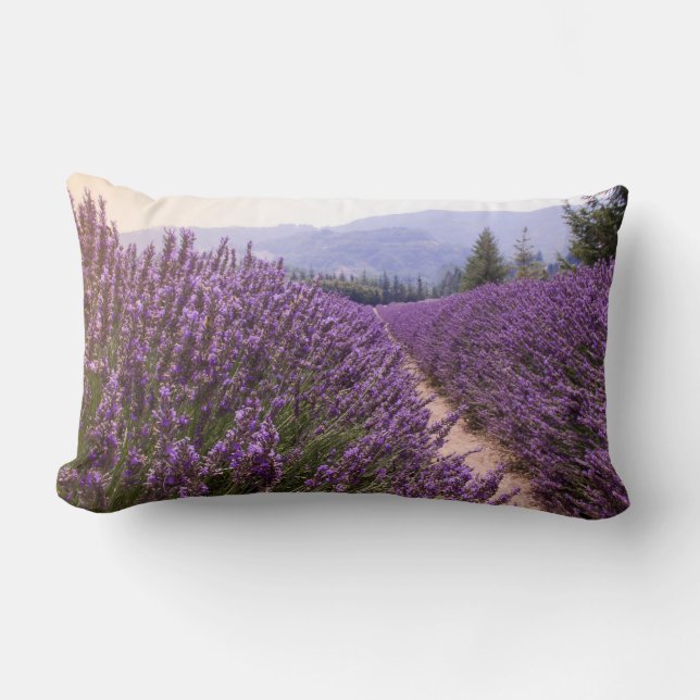 Rectangle Coussin Lavender Field (Recto)