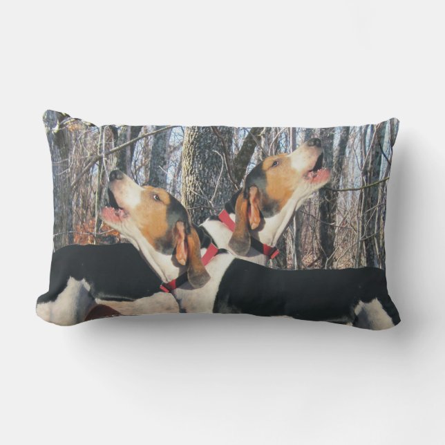 Rectangle Coussin lombaire de Coonhound de marcheur de (Recto)