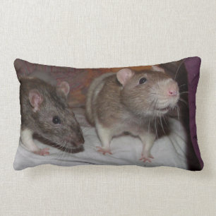 Rectangle coussin lombaire de rats