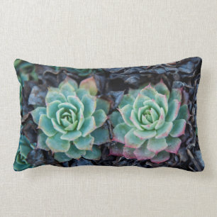 Rectangle Coussin lombaire de texture succulente de nature