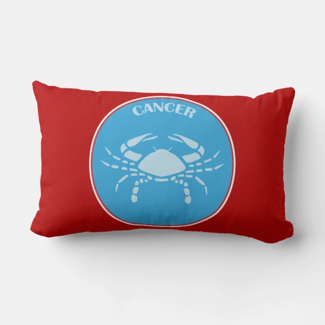 Rectangle Coussin Lumbar cancer (Verso)