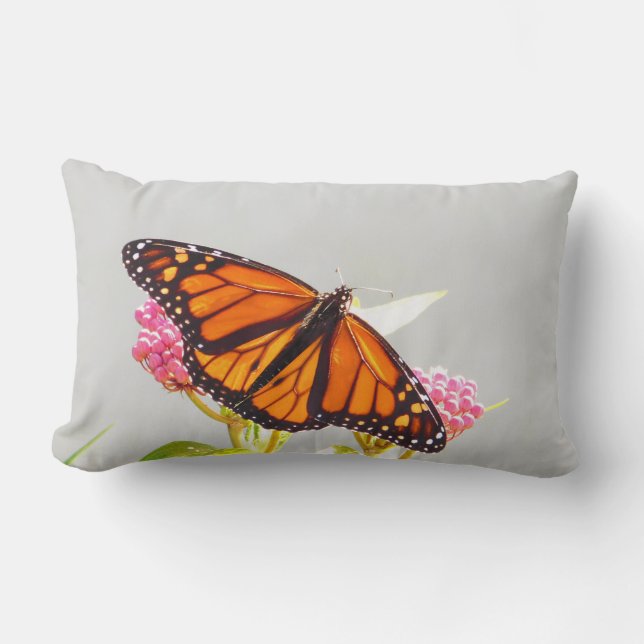 Rectangle Coussin Monarch Butterfly Wings Lumbar (Recto)