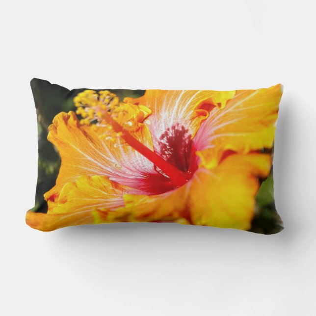 Rectangle Coussin orange de ketmie (Recto)