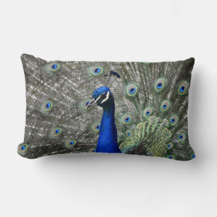 Rectangle Coussin Peacock
