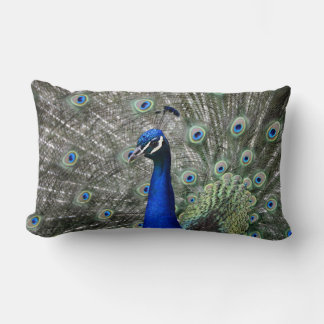 Rectangle Coussin Peacock