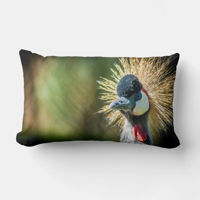 Rectangle Coussin photo de l'oiseau (Recto)