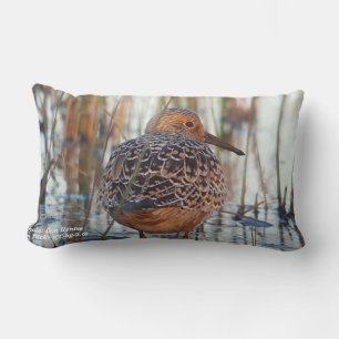 Rectangle Coussin Save Our Shorebirds par RoseWrites