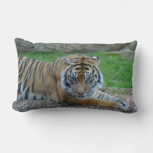 Rectangle Coussin Tiger Lumbar de papa