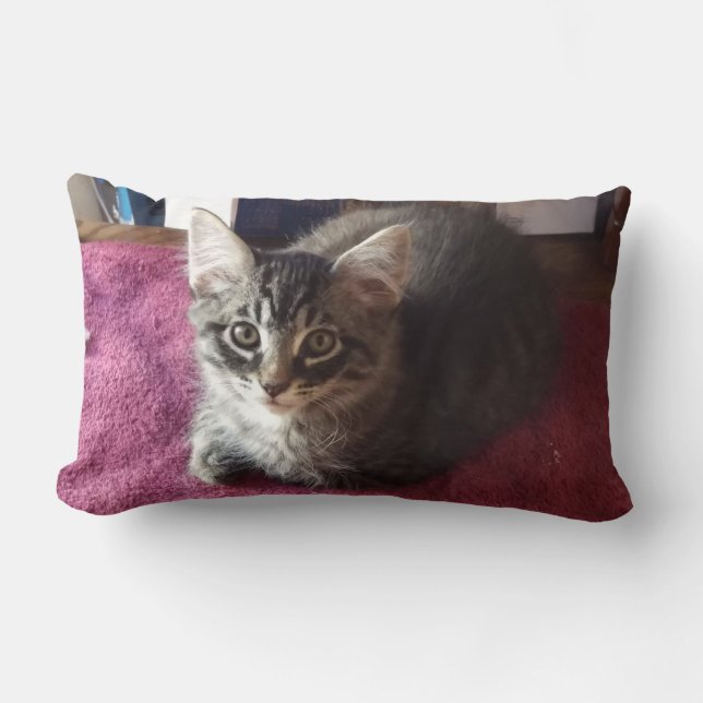 Rectangle Cute Kitten Coussin à 2 côtés (Recto)