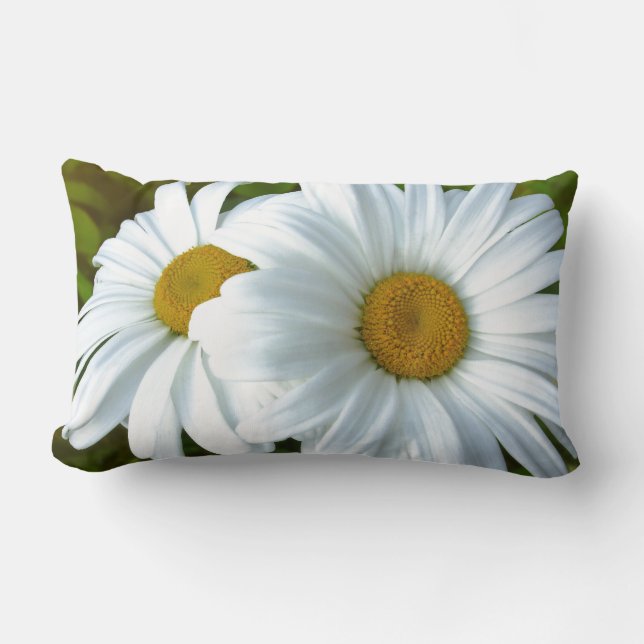 Rectangle Daisy Coussin Blue Daisy Coussin Flower Decor (Recto)