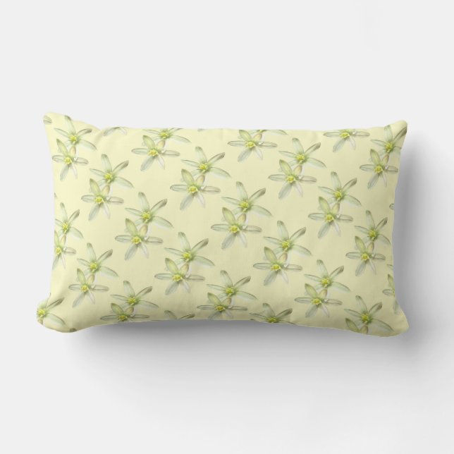 Rectangle Étoile du Coussin de Bethléem (Recto)