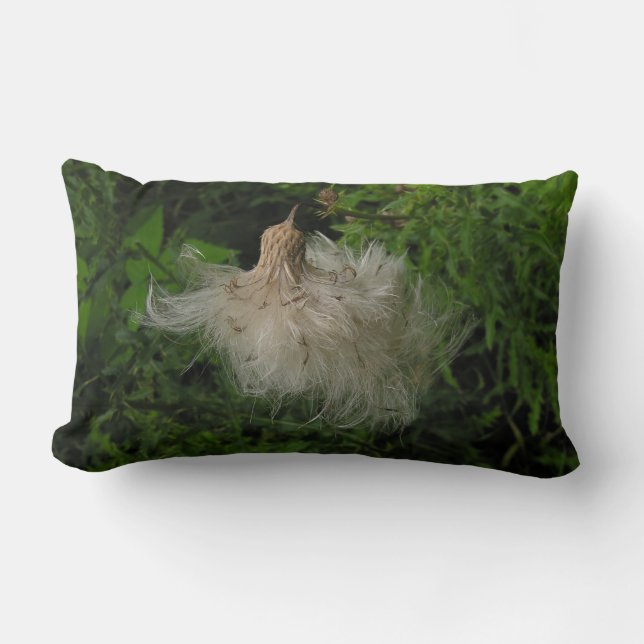 Rectangle Fluffy American MoJo Coussin (Recto)