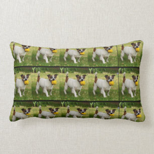 Rectangle Fox Terrier Avec Son Coussin À Balle Lumbar.