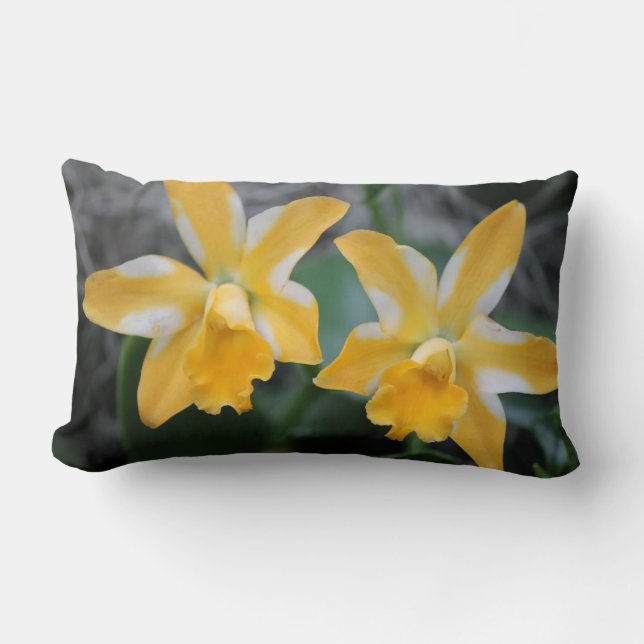 Rectangle Jaune et blanc Coussin Lumbar (Recto)